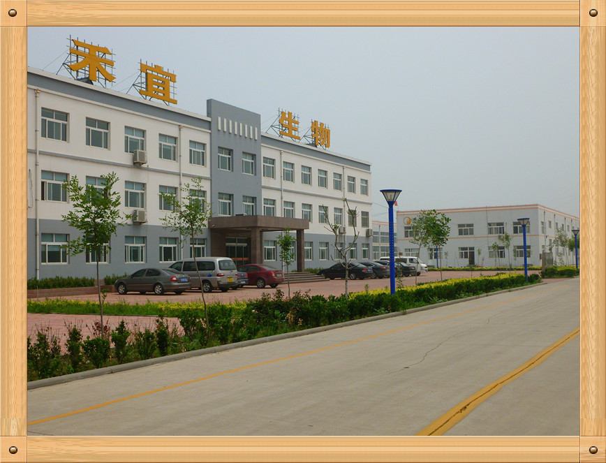 China Weifang Heyi Agrochemical Co.,Ltd Bedrijfsprofiel
